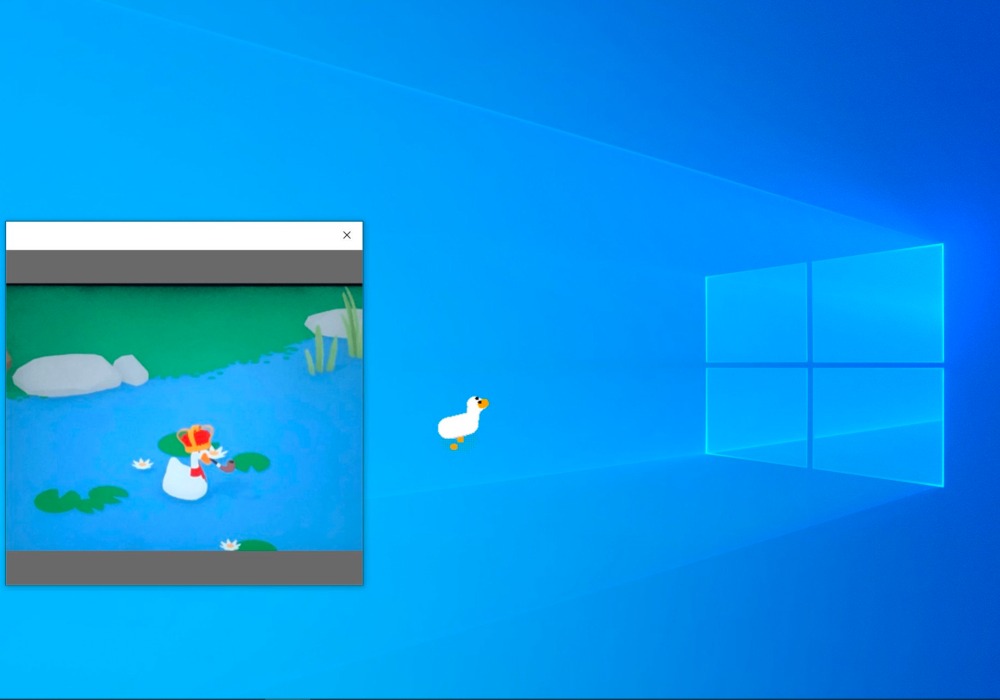 Desktop Goose